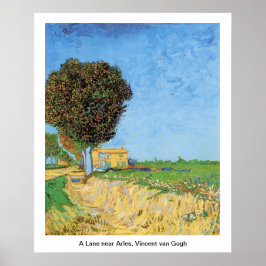Een Lane bij Arles, Vincent van Gogh. Poster