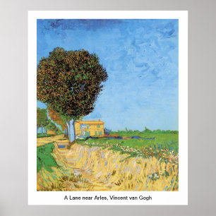 Een Lane bij Arles, Vincent van Gogh. Poster