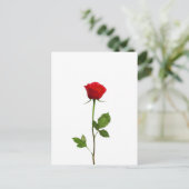 EEN LANGE STEM RODE ROSE BRIEFKAART (Staand voorkant)