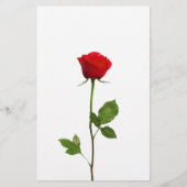 EEN LANGE STEM RODE ROSE BRIEFPAPIER (Voorkant)