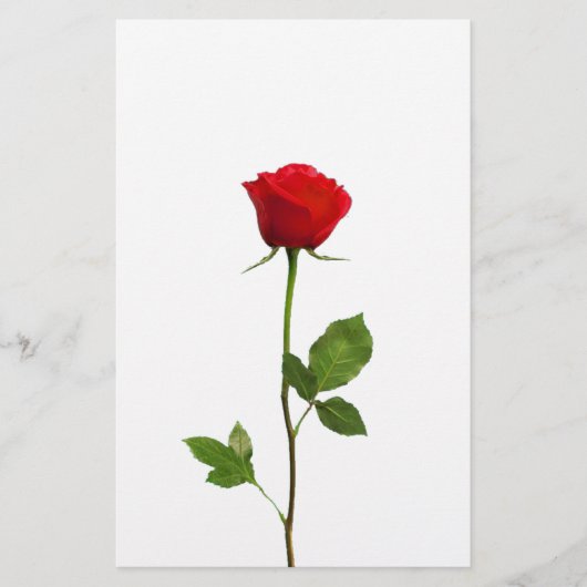 EEN LANGE STEM RODE ROSE BRIEFPAPIER (Voorkant)