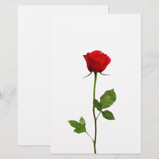 EEN LANGE STEM RODE ROSE BRIEFPAPIER (Voorkant / Achterkant)