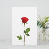 EEN LANGE STEM RODE ROSE BRIEFPAPIER (Staand voorkant)