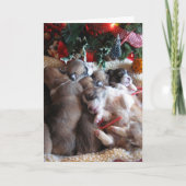 Een lange winter Nap Corgi Puppy Kerst Kaarten (Voorkant)