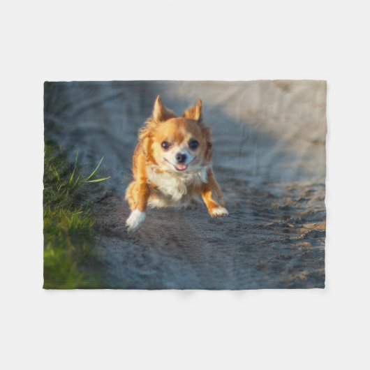 Een langharige bruine en witte Chihuahua Running Fleece Deken (Voorkant (Horizontaal))