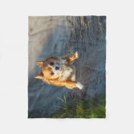 Een langharige bruine en witte Chihuahua Running Fleece Deken (Voorkant)