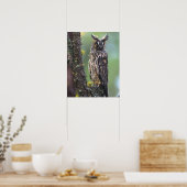 Een langoorige uil op een boomtak nabij poster (Keuken)