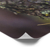 Een langoorige uil op een boomtak nabij poster (Hoek)