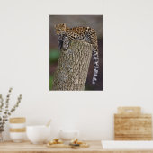 Een lantaarnafdrukken poster (Keuken)