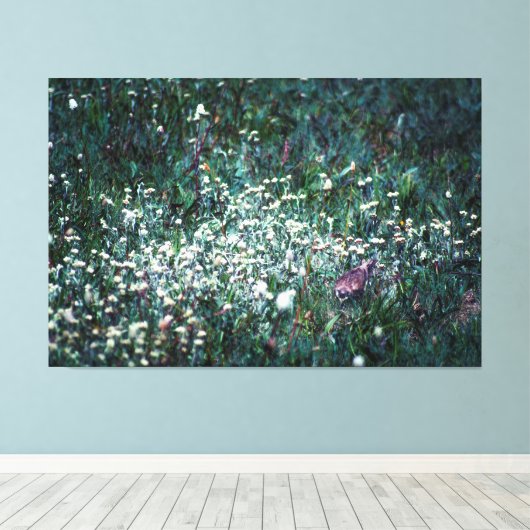 Een Lark in een Meadow Canvas Afdruk (Insitu (Houten vloer))