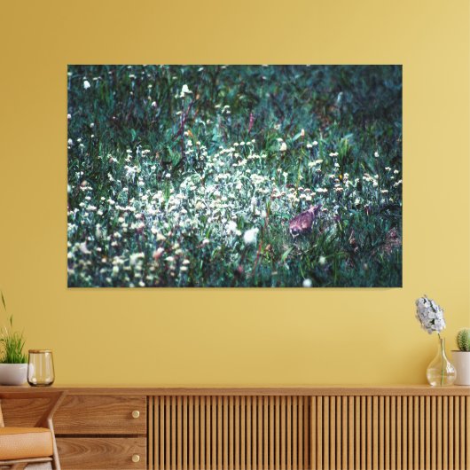 Een Lark in een Meadow Canvas Afdruk (Insitu (Woonkamer))