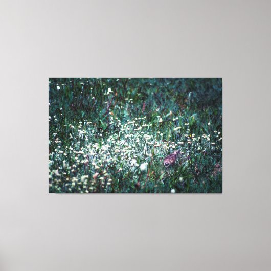 Een Lark in een Meadow Canvas Afdruk (Voorkant)