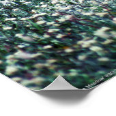 Een Lark in een Meadow Poster (Hoek)