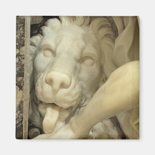 Een leeuw die de voet van Daniel likt Magneet (Voorkant)