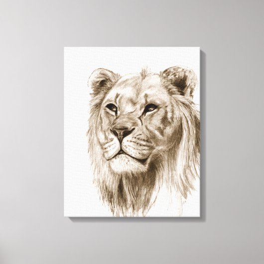 Een leeuw - zonder trots, tekening, schetskunst canvas afdruk (Voorkant)