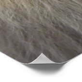 Een leeuwenkast poster (Hoek)