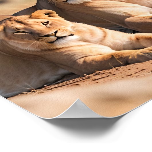 Een leeuwin met haar welp poster (Hoek)