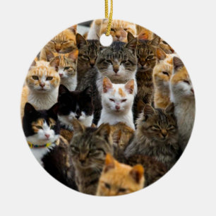 Een leger van katten, Aoshima-eiland, Japan Keramisch Ornament