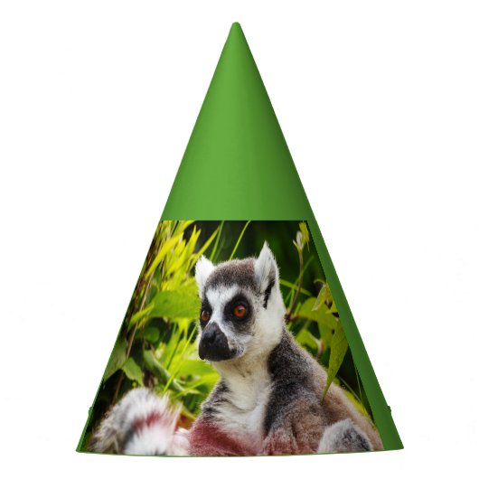 een lemur van Madagaskar met een feestmuts Feesthoedjes (Voorkant)
