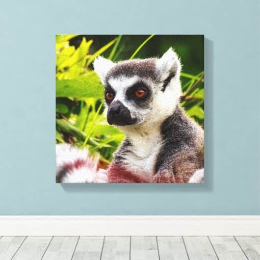 een lemur van madagaskar op een omwikkeld doek canvas afdruk (Insitu (Houten vloer))