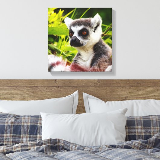 een lemur van madagaskar op een omwikkeld doek canvas afdruk (Insitu (Slaapkamer))