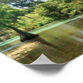 Een Lente rivier in Weeki Wachee Florida Poster (Hoek)