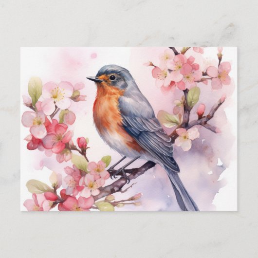Een lente Robin Tussen de Kersenbloesems. Briefkaart (Voorkant)