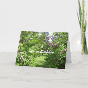 Een lente-verjaardag-lila struiken kaart