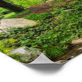Een lente wandeling poster (Hoek)