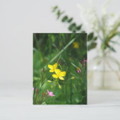 Een lentemaand in New England Briefkaart (Staand voorkant)