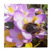 Een lentesmaak ~ keramische tegel tegeltje (Voorkant)