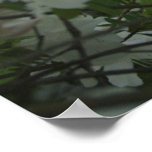 Een lentetalk poster (Hoek)