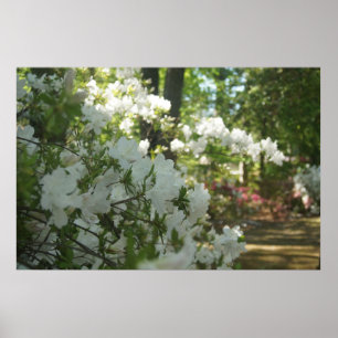 Een lentetalk poster