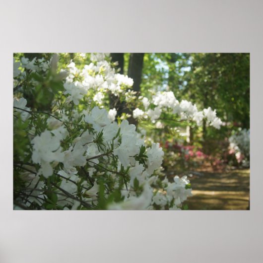 Een lentetalk poster (Voorkant)