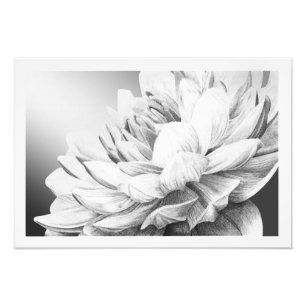 Een lenteverbarsting (met grens) foto afdruk