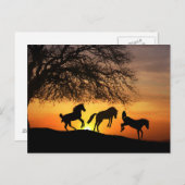 Een leuk Briefkaart met paarden! (Voorkant / Achterkant)