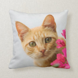 Een leuk rood gestreepte katkatje let op u kussen