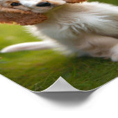 Een leuke Clumber Spaniel puppy Poster (Hoek)