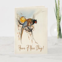 Een leuke dag Japanse fazant