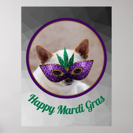 Een leuke Happy Mardi Gras-foto van een fijn maske Poster (Voorkant)