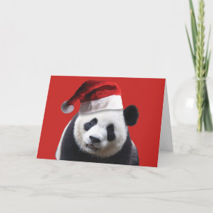 Een leuke Panda draagt dragend een Pet van de Feestdagen Kaart