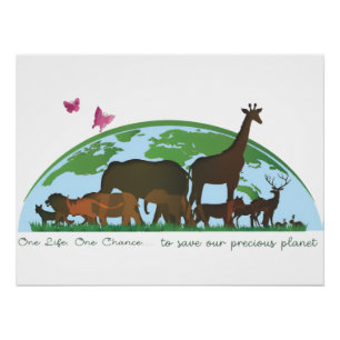 Eén leven... Eén kans om onze planeet te redden! Perfect Poster
