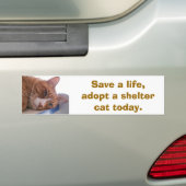 Een leven redden bumpersticker (Op auto)