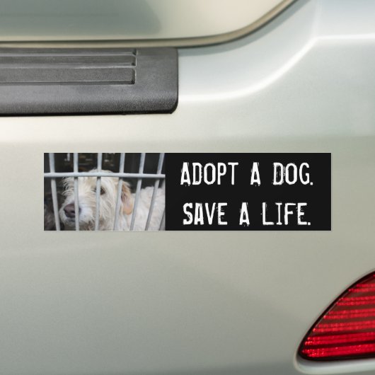 Een leven redden bumpersticker (Op auto)