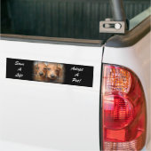 Een leven redden Een Bumpersticker kiezen (Op Truck)