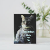 Een leven redden! Neem een Shelter Pet aan! Briefkaart (Staand voorkant)
