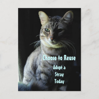 Een leven redden! Neem een Shelter Pet aan! Briefkaart