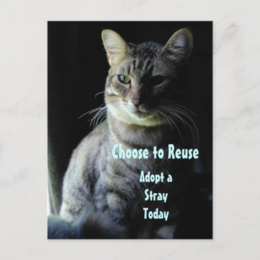 Een leven redden! Neem een Shelter Pet aan! Briefkaart (Voorkant)