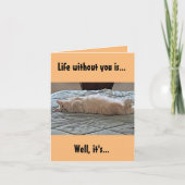 Een leven zonder jou, een kat kaart (Voorkant)