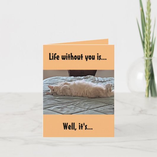 Een leven zonder jou, een kat kaart (Voorkant)